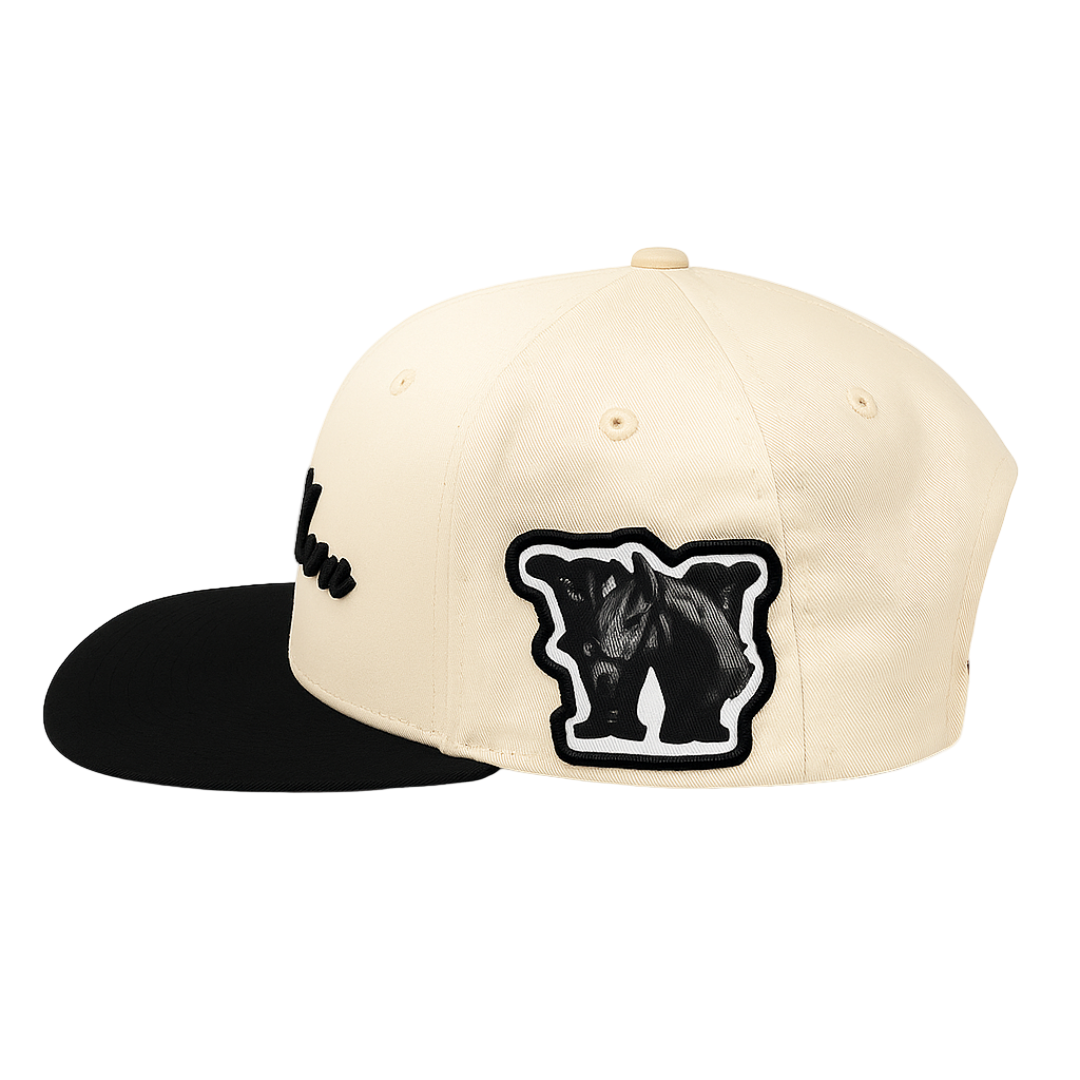 Workhorse Legacy Hat